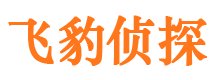 麦积区侦探公司